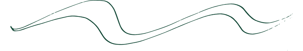 裝飾性波浪背景