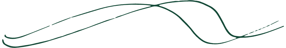 裝飾性波浪背景