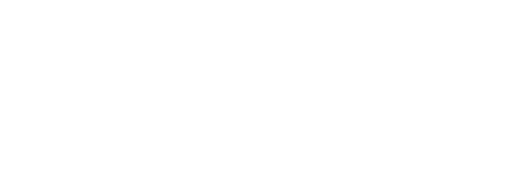 PromoPioneers